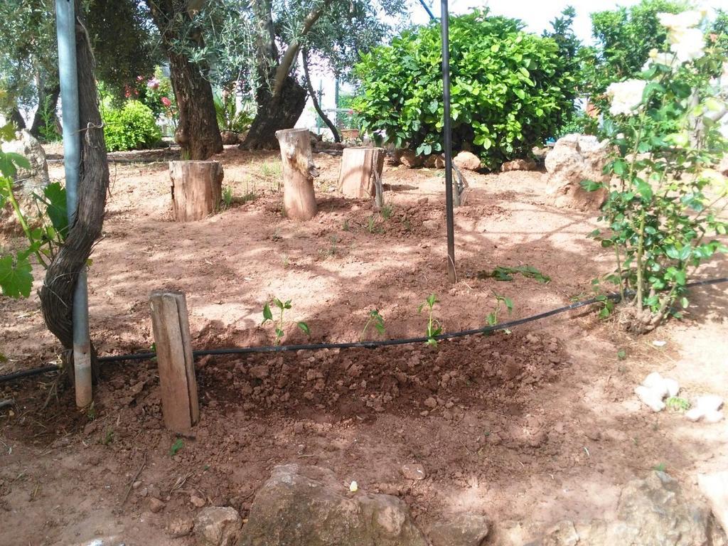 Alojamientos Rurales La Loma Pozo Alcón Buitenkant foto