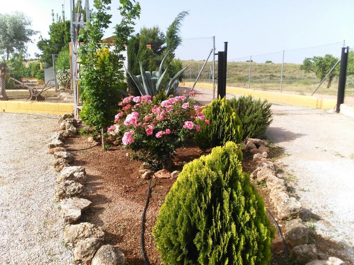 Alojamientos Rurales La Loma Pozo Alcón Buitenkant foto